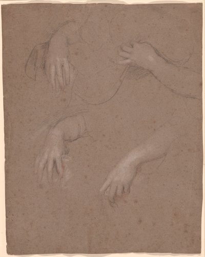 Drawings of Hands by Sir Peter Lely