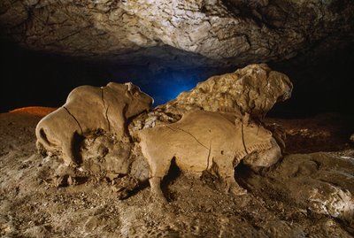 The Clay Bisons from Le Tuc d