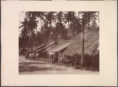 Untitled (verso) by Skeen and Co.