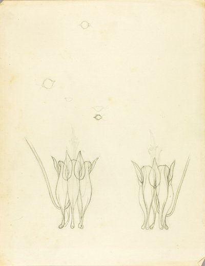 Acacias by Solon H. Borglum