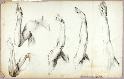 Arm Studies, #2 by Solon H. Borglum