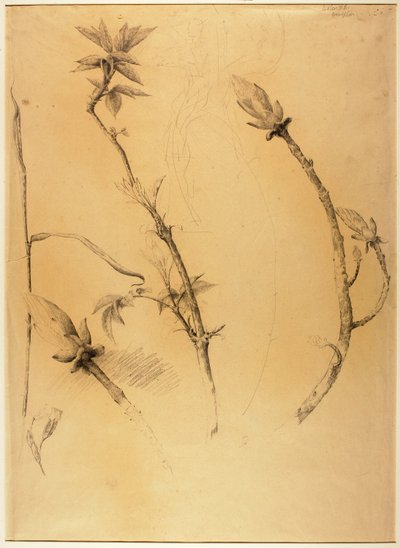 Branches by Solon H. Borglum