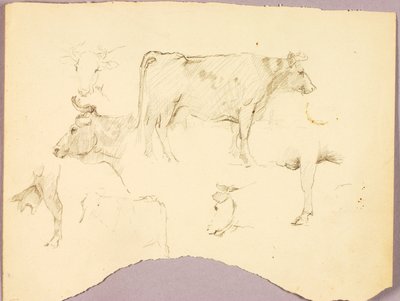 Bulls by Solon H. Borglum