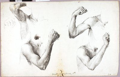 Four Arm Studies, #1 by Solon H. Borglum