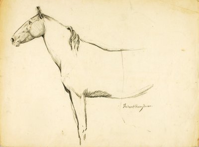 Horse by Solon H. Borglum