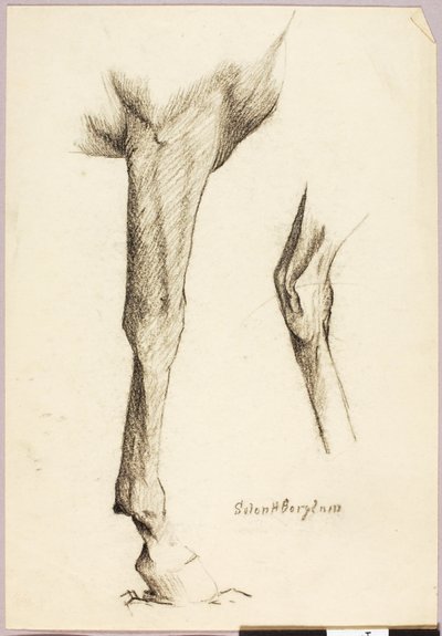 Horse Study by Solon H. Borglum