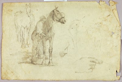 Horse and Rider by Solon H. Borglum