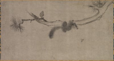 Squirrel on a Pine Branch by Song Tian