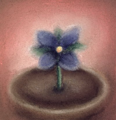 Little Flower by Sophie Hacker