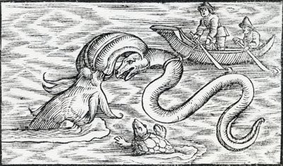 Sea monsters by Spanish School
