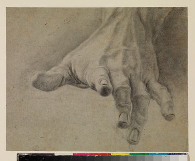 Study of a left hand, 18th century by Spanish School