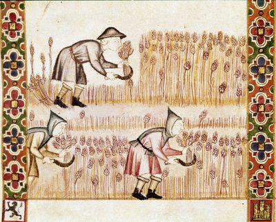 The peasant harvests mowing wheat (detail) by Spanish School