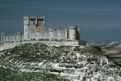 View of the castle by Spanish School