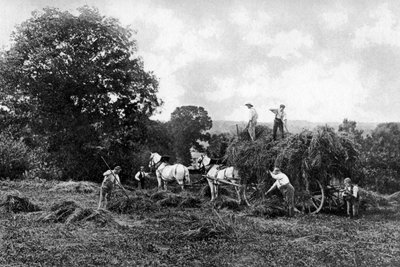 Haymaking, 1911-1912 by Sprague and Co