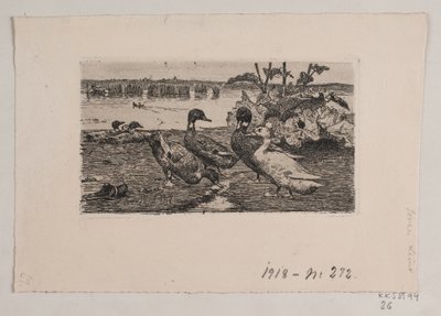 Ducks by Søren Lund