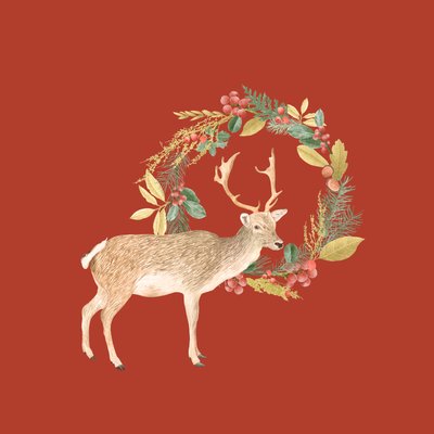 Holiday Deer by Stacy Hsu