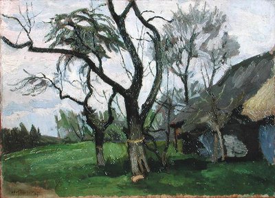 Landscape of Wola Radziszowska by Stanislaw Kamochi
