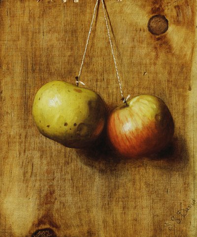 Hanging Apples by Stanley S. David