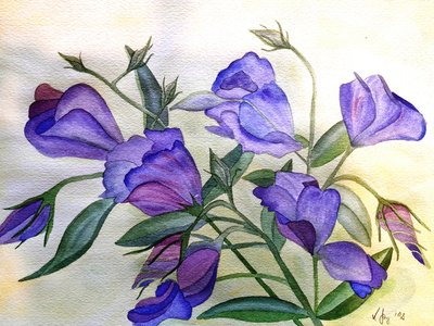 Purple Flowers by Steegs Art Karin