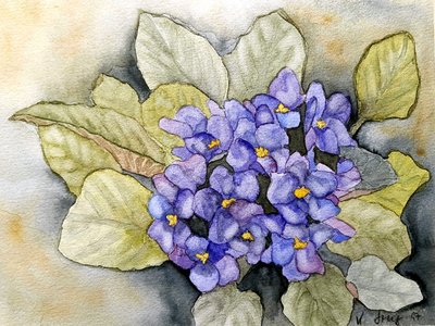 Usambara Violet by Steegs Art Karin