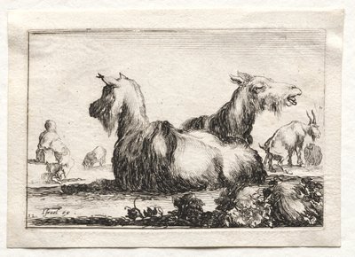 Caprices: Two Goats by Stefano della Bella