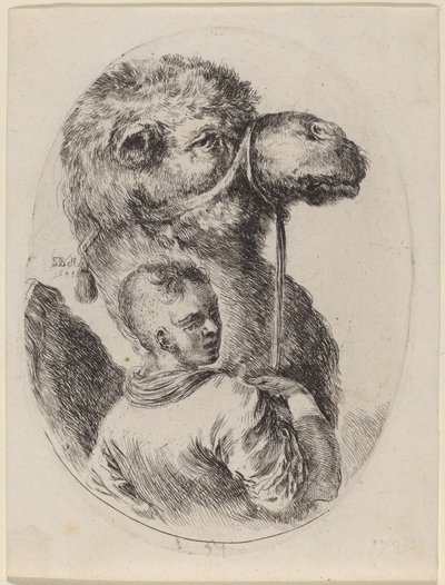 Groom with a Camel by Stefano della Bella