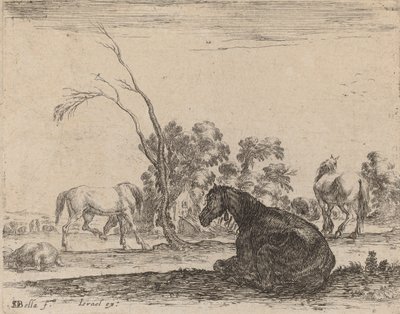 Horses in a Pasture by Stefano della Bella