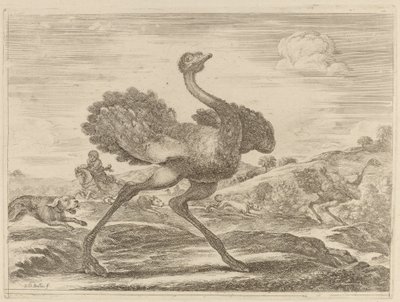 Ostrich Hunt by Stefano della Bella
