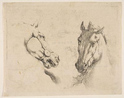 Two Horse Heads by Stefano della Bella