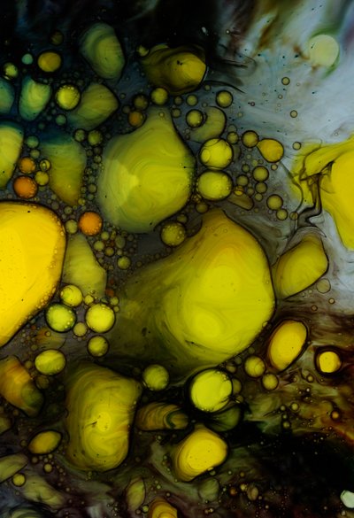 Oil Painting by Steve Pavlovsky