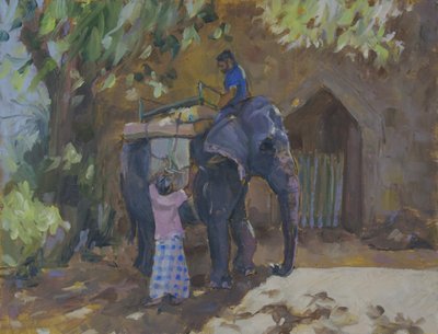 Elephant, Sri Lanka by Sue Wales