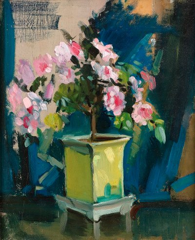 Camellia by Sunderland Rollison
