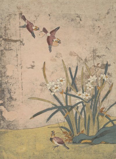 Birds and Narcissus by Suzuki Harunobu