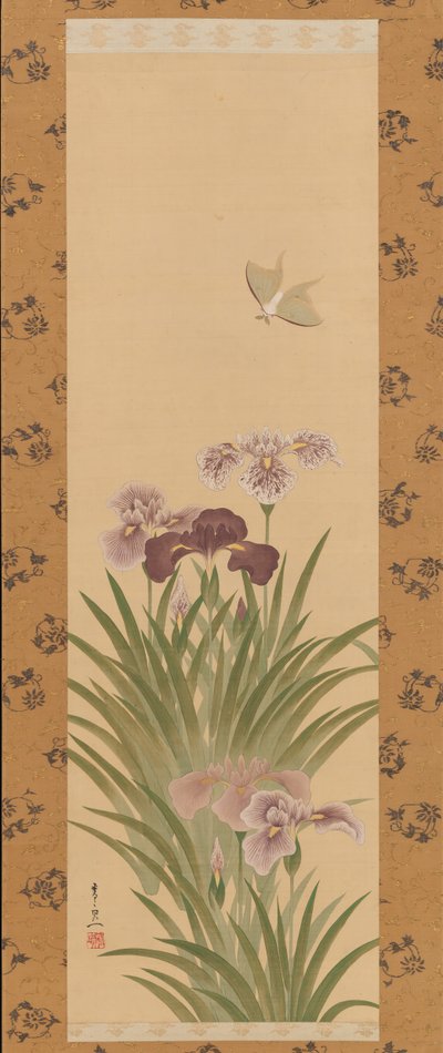 Irises and Moth by Suzuki Kiitsu