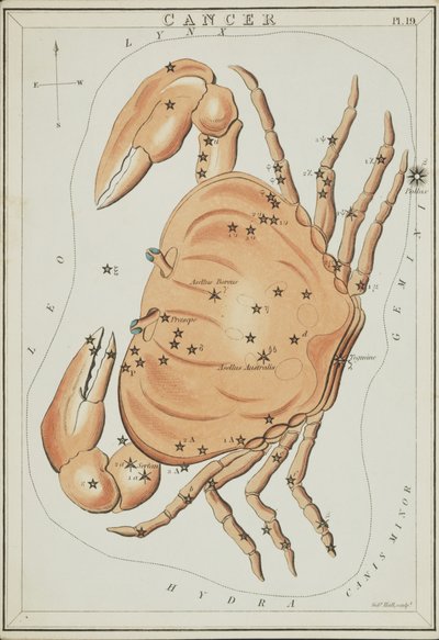 Cancer, Illustration from 