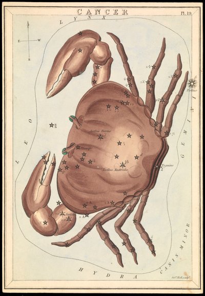 Cancer, c.1825 by Sydney Hall