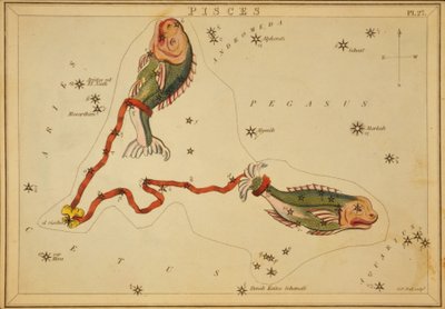 Pisces, Illustration from 