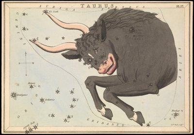 Taurus, c.1825 by Sydney Hall