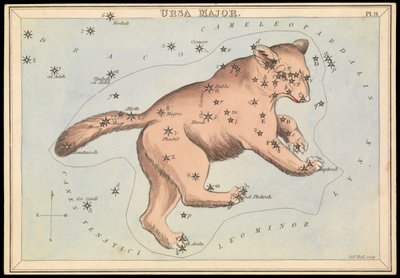 Ursa Major by Sydney Hall