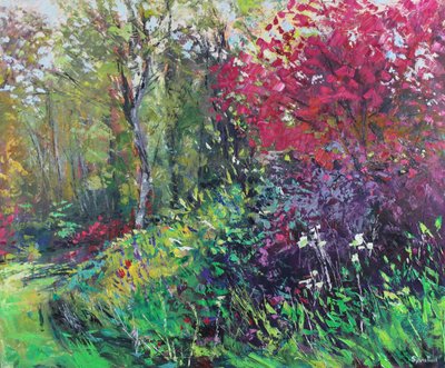 A Wander Round the Garden by Sylvia Paul