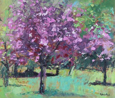 Blossom in the Park by Sylvia Paul