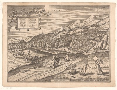 View of Granada by Symon Novelanus (possibly)