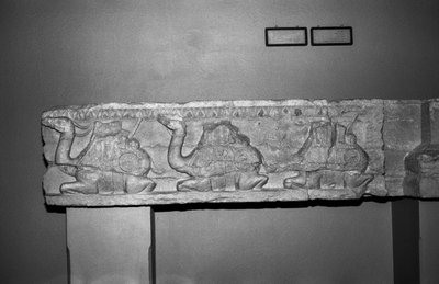 Camel relief by Syrian