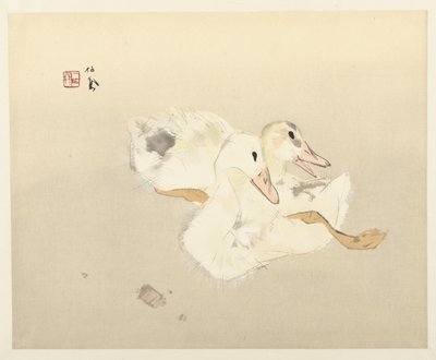 Young Ducks by Takeuchi Seiho