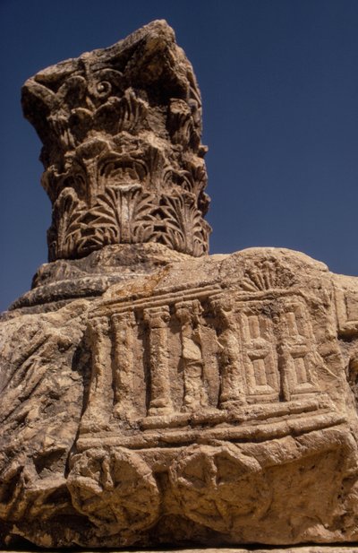 Synagogue Ruins at Capernaum, Israel by Ted Spiegel
