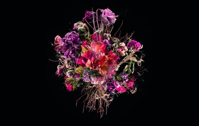 Bouquet VIIII, 2018 by Teis Albers
