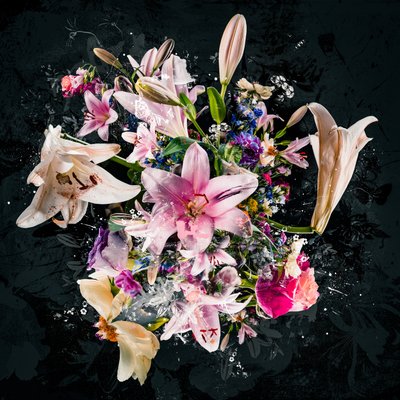 Bouquet VIII, 2018 by Teis Albers