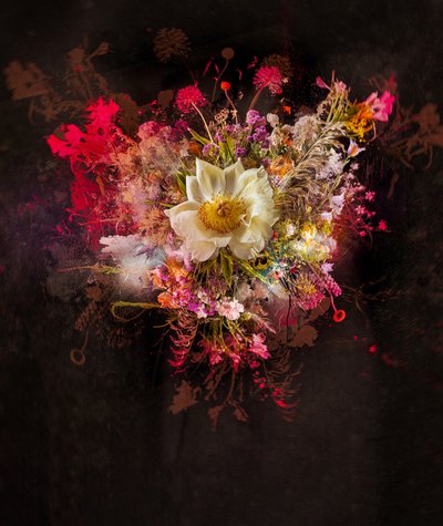 Bouquet XXVII, 2019 by Teis Albers