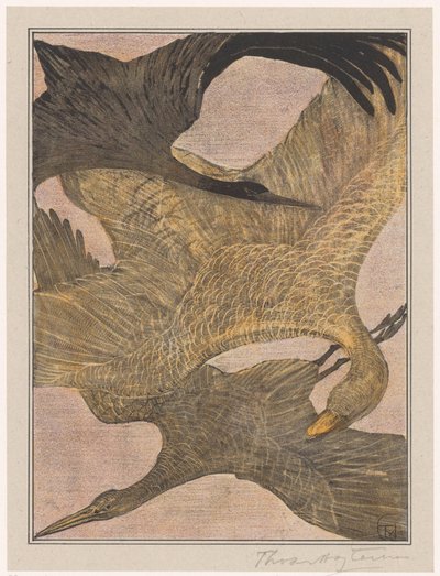Three Flying Birds by Theo van Hoytema (signed by artist)