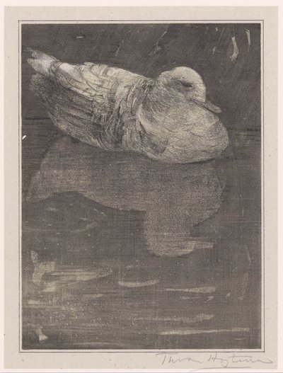 Floating Duck by Theo van Hoytema (signed by artist)